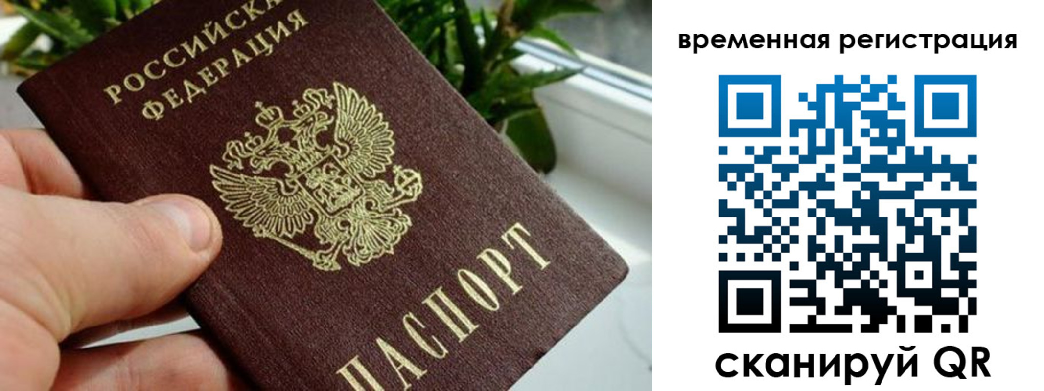 прописка поиск в Боре